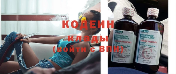 крисы Коряжма