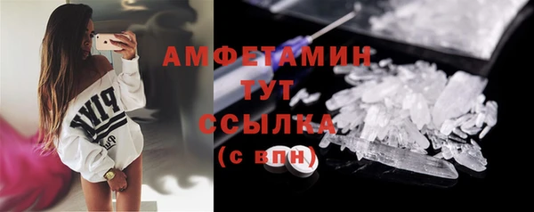 крисы Коряжма