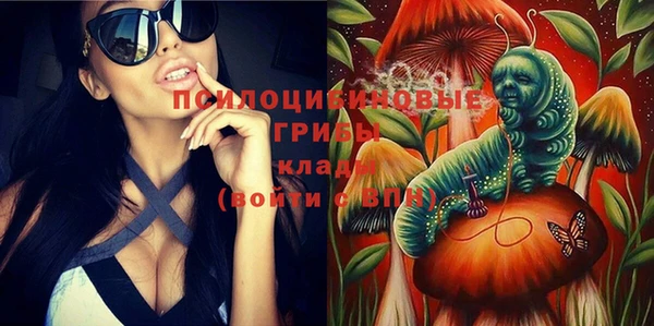 Альфа ПВП Костерёво