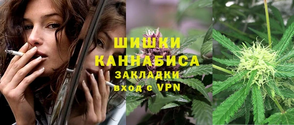 крисы Коряжма