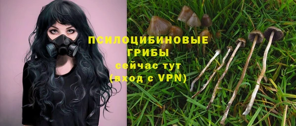 круглые Корсаков