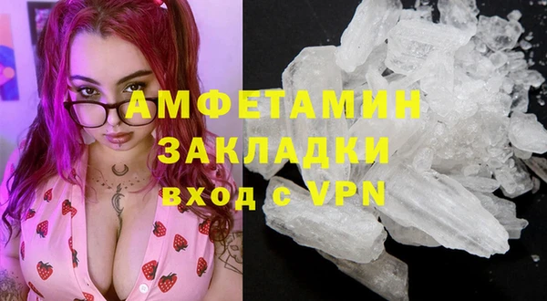 крисы Коряжма