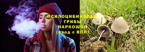 Альфа ПВП Костерёво