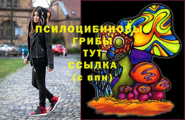 круглые Корсаков
