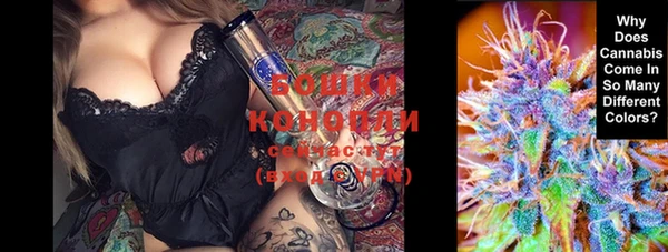 круглые Корсаков