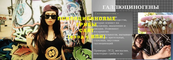 круглые Корсаков