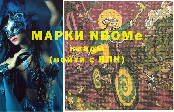 крисы Коряжма