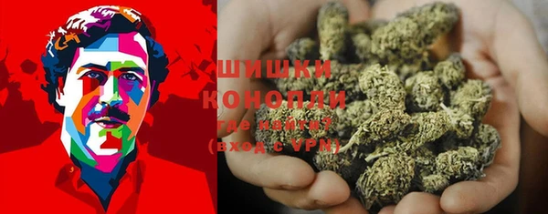 круглые Корсаков